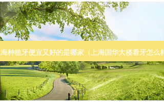 上海种植牙便宜又好的是哪家（上海国华大楼看牙怎么样）