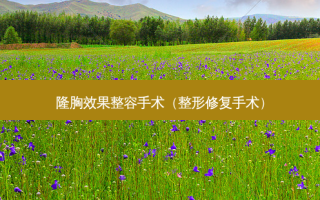 隆胸效果整容手术（整形修复手术）