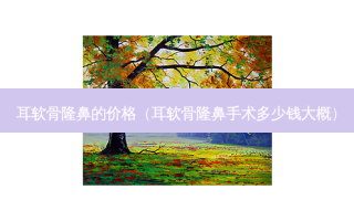 耳软骨隆鼻的价格（耳软骨隆鼻手术多少钱大概）