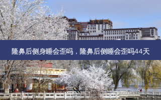 隆鼻后侧身睡会歪吗，隆鼻后侧睡会歪吗44天