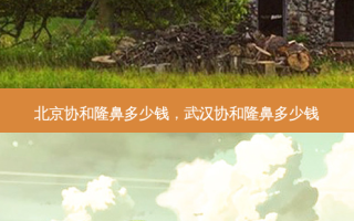 北京协和隆鼻多少钱，武汉协和隆鼻多少钱