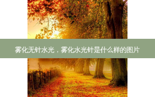 雾化无针水光，雾化水光针是什么样的图片
