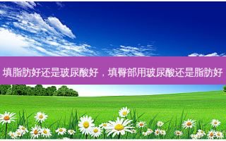 填脂肪好还是玻尿酸好，填臀部用玻尿酸还是脂肪好