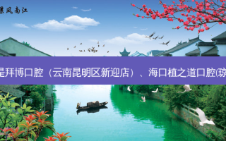 国内十大齿科医院排行展示:top10是拜博口腔（云南昆明区新迎店）、海口植之道口腔(琼山分院)、广州美呀植联口腔门诊部