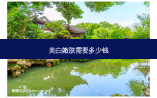 美 *** 肤需要多少钱