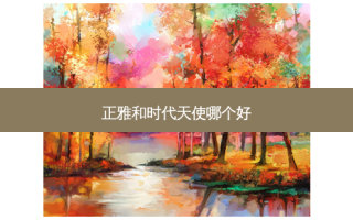 正雅和时代天使哪个好