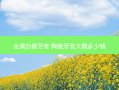 金属自锁牙套 陶瓷牙套大概多少钱