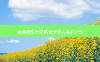 金属自锁牙套 陶瓷牙套大概多少钱