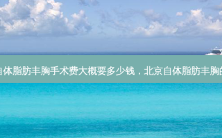 北京自体脂肪丰胸手术费大概要多少钱，北京自体脂肪丰胸的医院