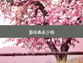 膨体鼻多少钱