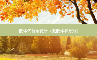 嵌体代替全瓷牙（瓷嵌体和牙冠）