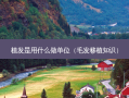 植发是用什么做单位（毛发移植知识）