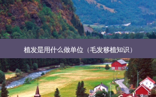 植发是用什么做单位（毛发移植知识）