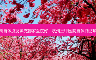 杭州自体脂肪填充哪家医院好，杭州三甲医院自体脂肪填充