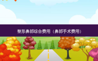 整形鼻部综合费用（鼻部手术费用）