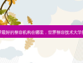 世界 *** 的整容机构在哪里，世界整容技术大学排名