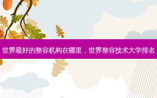 世界 *** 的整容机构在哪里，世界整容技术大学排名