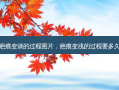 疤痕变淡的过程图片，疤痕变浅的过程要多久