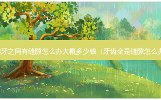 门牙之间有缝隙怎么办大概多少钱（牙齿全是缝隙怎么办）