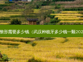 兔唇整形需要多少钱（武汉种植牙多少钱一颗2023年）