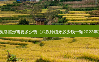 兔唇整形需要多少钱（武汉种植牙多少钱一颗2023年）