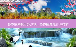 膨体假体取出多少钱，彭体隆鼻是什么材质