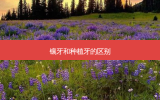 镶牙和种植牙的区别
