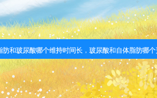 自体脂肪和玻尿酸哪个维持时间长，玻尿酸和自体脂肪哪个更长久