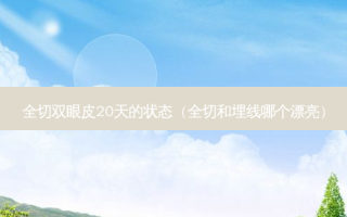 全切双眼皮20天的状态（全切和埋线哪个漂亮）