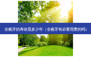 全瓷牙的寿命是多少年（全瓷牙有必要用贵的吗）