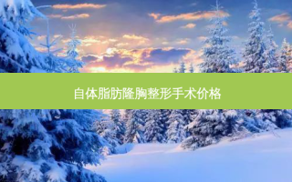 自体脂肪隆胸整形手术价格