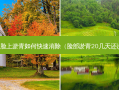 宝宝脸上淤青如何快速消除（脸部淤青20几天还没散）