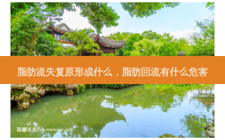 脂肪流失复原形成什么，脂肪回流有什么危害