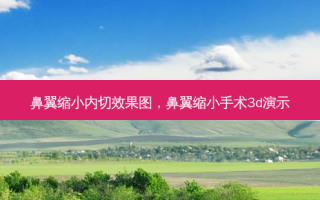 鼻翼缩小内切效果图，鼻翼缩小手术3d演示