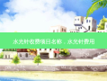 水光针收费项目名称，水光针费用