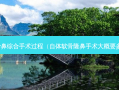 耳软骨鼻综合手术过程（自体软骨隆鼻手术大概要多少钱）