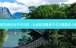 耳软骨鼻综合手术过程（自体软骨隆鼻手术大概要多少钱）