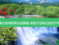 氧化锆增韧氧化铝陶瓷 铸瓷牙是氧化锆国产吗