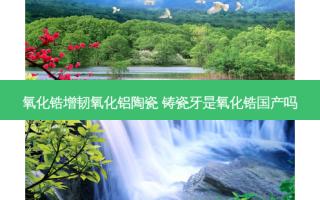 氧化锆增韧氧化铝陶瓷 铸瓷牙是氧化锆国产吗