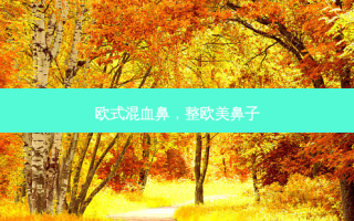 欧式混血鼻，整欧美鼻子