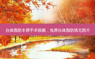 自体脂肪丰唇手术视频，兔唇自体脂肪填充图片