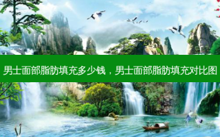 男士面部脂肪填充多少钱，男士面部脂肪填充对比图