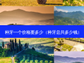 种牙一个价格要多少（种牙总共多少钱）