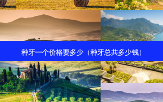 种牙一个价格要多少（种牙总共多少钱）