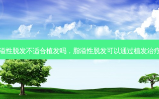 脂溢性脱发不适合植发吗，脂溢性脱发可以通过植发治疗吗