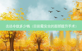 去法令纹多少钱（目前 *** 的面部提升手术）