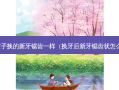 七岁孩子换的新牙锯齿一样（换牙后新牙锯齿状怎么回事）