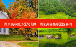 西京美容整形医院官网，西京美容整形医院咨询