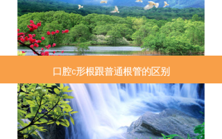 口腔c形根跟普通根管的区别