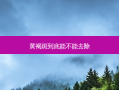 黄褐斑到底能不能去除